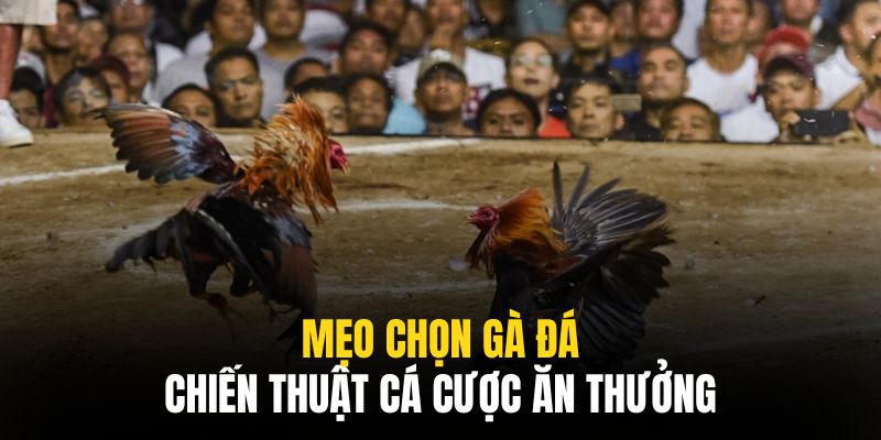 Để ăn thưởng cần trau dồi nhiều kỹ năng và kinh nghiệm độc đáo